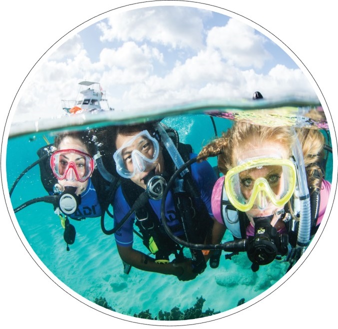 Dive Courses